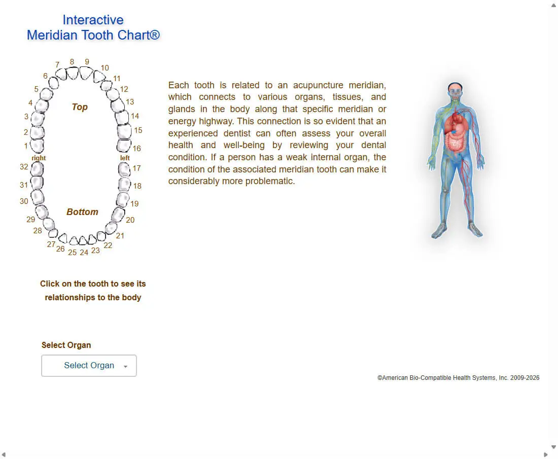 Interactive Meridian Tooth Chart preview